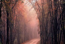 [英超]萨拉赫两传一射 利物浦击败曼联赢下双红会.