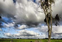 10人皇马逆转胜巴伦西亚 登顶西甲榜首.